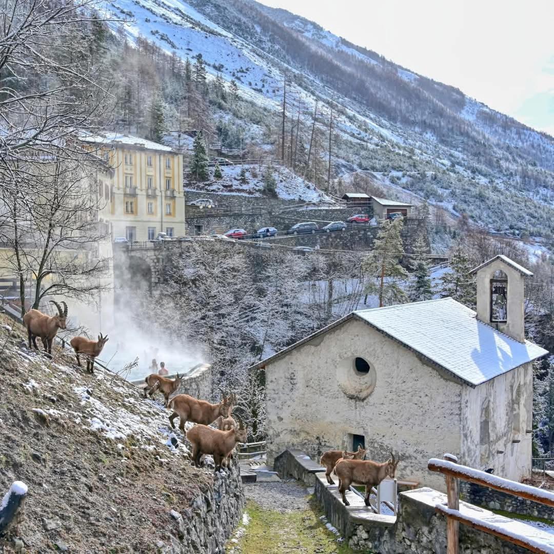Appartamento Casa Bellavista Premadio Esterno foto